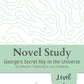George's Secret Key to the Universe Novel Study