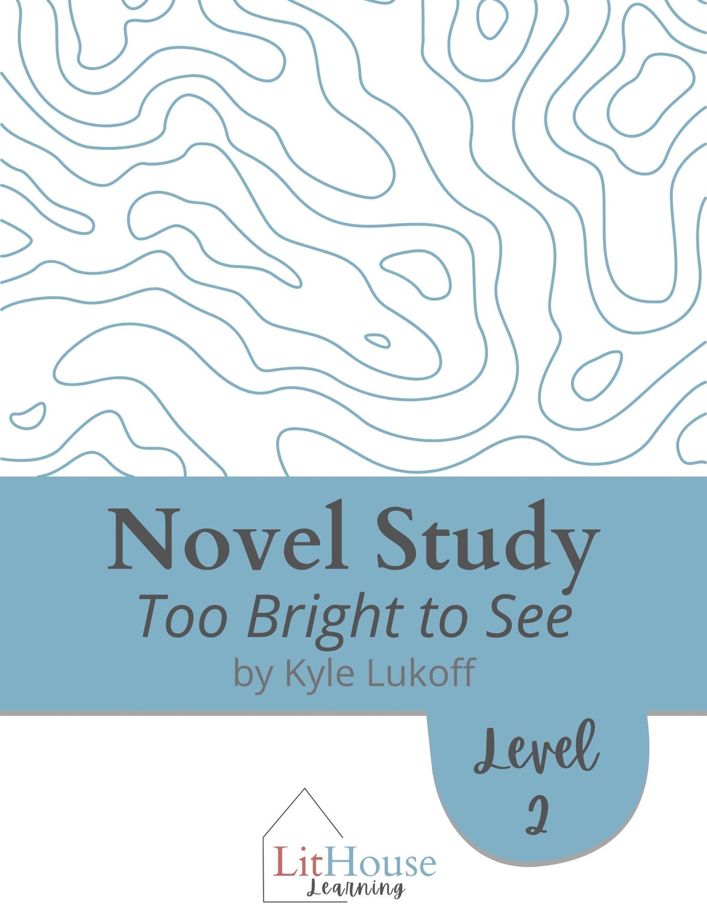 Too Bright to See Novel Study